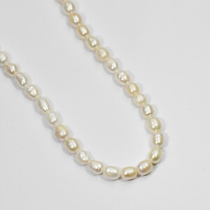 Wp[lbNX 5.6-6mm 38cm{6cm ^ W^ VR { p[ ^ANZT[