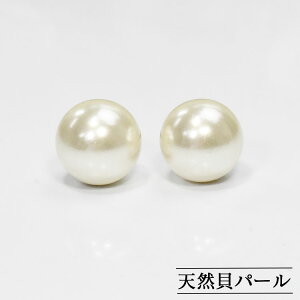 VRLp[ 8mm X^bhsAX S̃`^|Xg ^  i ێ lCTCY { Y 