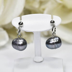 Wp[  ꗱsAX v`iJ[ S̃`^|Xg W^ VRWubNp[ { Y 