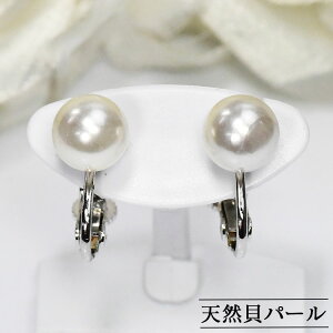 VRLp[ 8mm CO mz[ ^  i ێ lCTCY { Y 