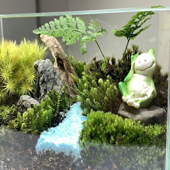 楽天市場 癒し 苔テラリウム キット カエルの休息 苔インテリア 苔リウム 作成 プレゼント お誕生日 カエルフィギュア おうち時間 プレゼント ギフト ステイホーム ジオラマ 縁起物 開店祝い 開業祝い 定年祝い 退職祝い 巣ごもり 癒しの森 楽天市場店 楽天市場 癒し 苔テラリウム キット カエルの休息 苔インテリア 苔リウム 作成 プレゼント お誕生日 カエルフィギュア おうち時間 プレゼント ギフト ステイホーム ジオラマ 縁起物 開店祝い 開業祝い 定年祝い 退職祝い 巣ごもり 癒しの森 楽天市場店