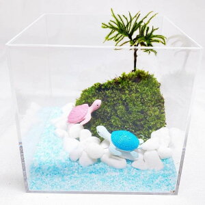 eELbgySummer oceanz z\oILiSP zCgf[ REm}lOT qlƈꏏ  q Rɐe Lbg @J@ČiF@@C