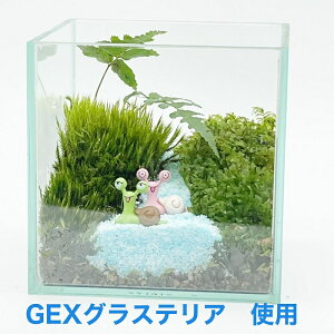 �K���X�C���e���A�@�R�P�e�����E���L�b�g �yHappy rain�z �ۃe�����E�� ����L�b�g �ۃC���e���A �ۃ��E�� ����L�b�g �R�P �e�����E�� �R�P���E�� �J�^�c���� �o�����^�C�� �쐬 ���� �v���[
