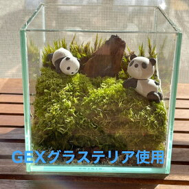 楽天市場 テラリウム ミニ フィギュアの通販