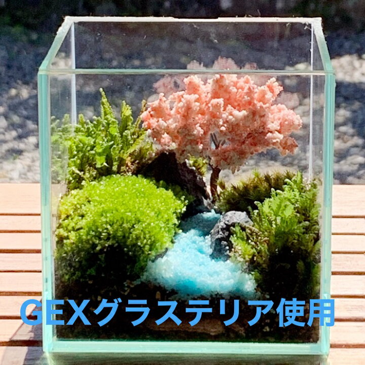 楽天市場 癒し おうちでお花見 苔盆栽 ミニ桜 造花 可愛い おしゃれ おうち花見 ガラスインテリア 桜 苔テラリウムキット 桜フィギュア 苔インテリア テラリウム 作成 お誕生日 おうち時間 ギフト ステイホーム ジオラマ 癒しグッズ 癒しの森 楽天市場店