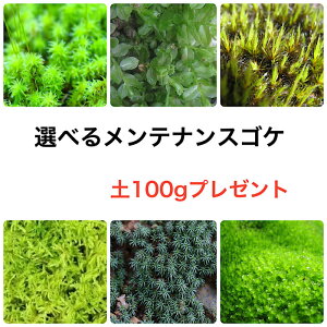 v[gt eiXp pbN Iׂ3 inCSPERXMSPEnKlSPEtfSPE`E`SPEXiSPj ۃeE