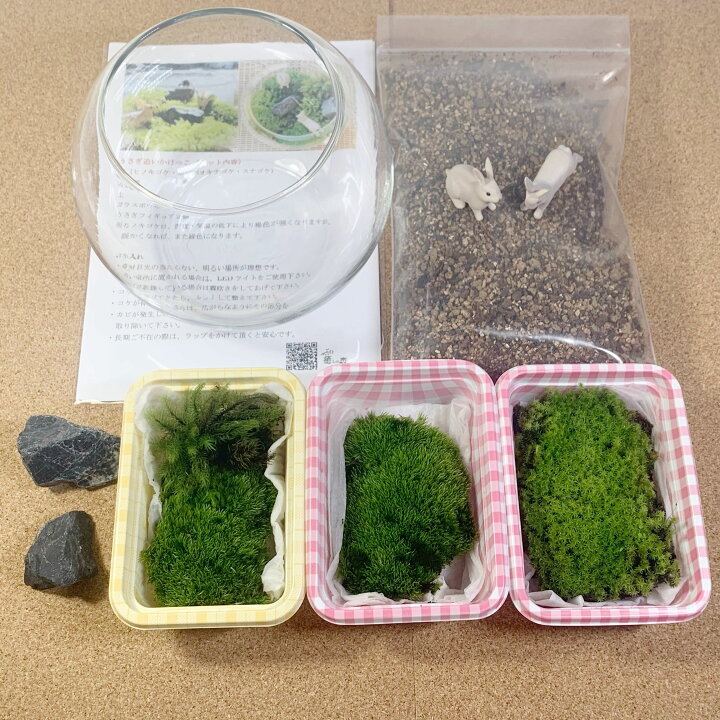 楽天市場 可愛い 贈り物 コケテラリウムキット うさぎ ガラスボウル コケインテリア 母の日ギフト コケテラリウム手作りキット 創作キット 苔インテリア 苔リウム コケリウム 作成キット お誕生日 おうち時間 ステイホーム 癒しの森 楽天市場店