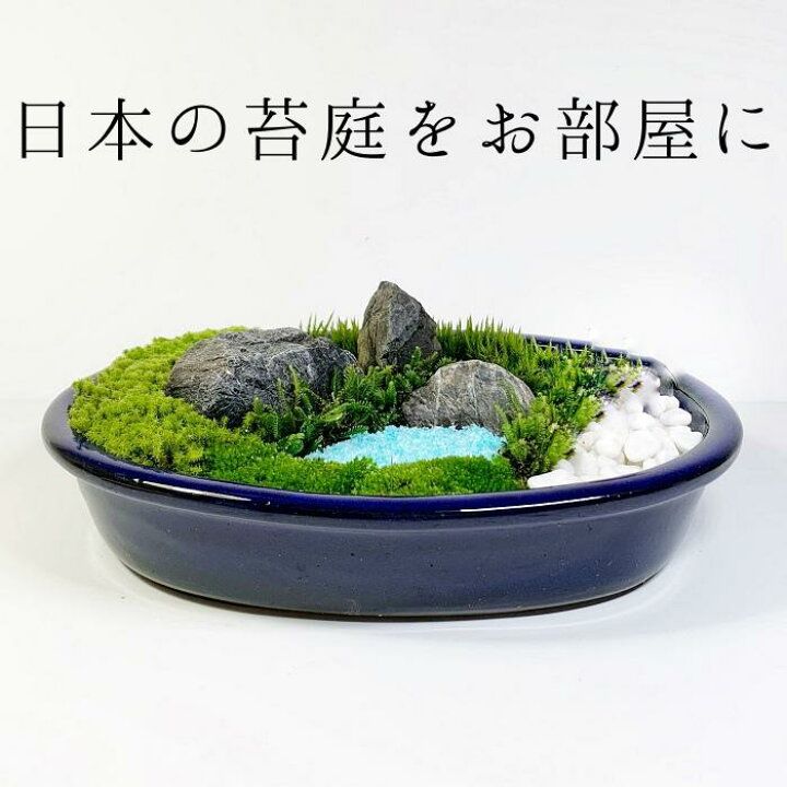 楽天市場 日本庭園大 苔テラリウム作成キット 苔盆栽 苔日本庭園 プレゼント用 苔日本庭園 苔 コケ こけ 父の日 男性 母の日 新築祝い 誕生日プレゼント 癒し おうち時間 大人の遊び 開店祝い 敬老の日 癒しの森 楽天市場店