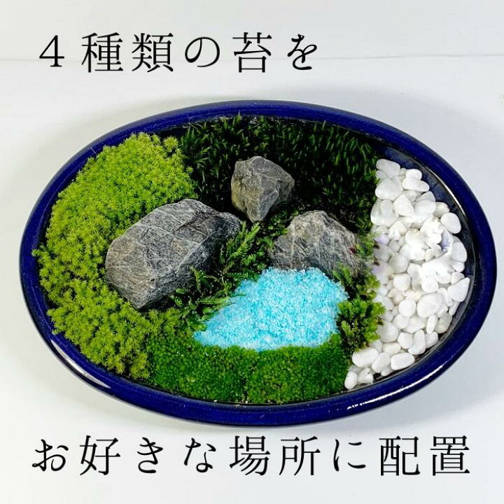 楽天市場 日本庭園大 苔テラリウム作成キット 苔盆栽 苔日本庭園 プレゼント用 苔日本庭園 苔 コケ こけ 父の日 男性 母の日 新築祝い 誕生日プレゼント 癒し おうち時間 大人の遊び 開店祝い 敬老の日 癒しの森 楽天市場店