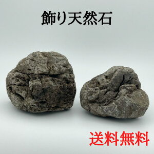 yiEzVRC-5 ~͐  R bNK[f ϗtA  eE ANAE RPE   ̉Bꏊ Mы _J  ঒ ybg yb