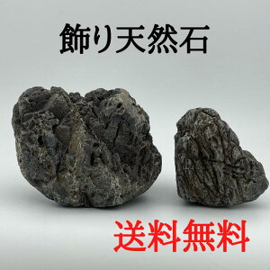 yiEzVR C-6 ~͐  R bNK[f ϗtA eE ANAE RPE   ̉Bꏊ Mы _J  ঒ ybgObX A