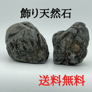 盆栽 石 ペットの人気商品 通販 価格比較 価格 Com