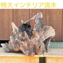 楽天市場】流木 特大（インテリア小物・置物｜インテリア・寝具・収納 