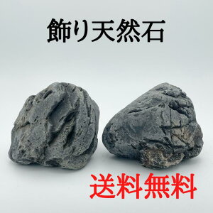 yiEzVRC-11 ~͐  R bNK[f ϗtA eE ANAE RPE   ̉Bꏊ Mы _J  ঒ ybgObX A