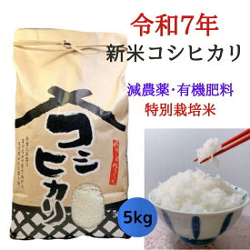 自社米 令和7年新米コシヒカリ 新米5キロ お歳暮 クリスマス 特別栽培米 減農薬 有機肥 2025年産 新米5kg 単一原料米 三重県産コシヒカリ 白米 お米 米 コメ ごはん つき立て 産直 自社栽培 仕送り 一人暮らし 景品 催事 贈り物 贈答品 御歳暮　寿司米　新米五キロ