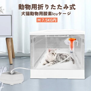 ySSP5{UPzybgLp_fICUP[W luCU[{bNX PċzÂɎgp  ܂肽ݎ ybgp_f{bNX ƒp ^ ybgݑPA ybg M 7.5KG