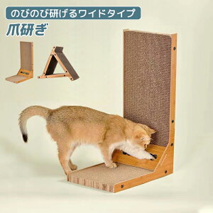 ܂Ƃ ܌ _{[ i{[  c^ ߂Ƃ ܂Ƃ X^h^Cv L Lbg lR pi L lR Lbg  Lp ybg ybgp ܂Ƃ