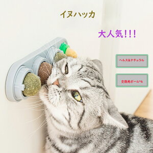 猫用 おもちゃ キャットニップボール 入り オモチャ 可愛い マタタビ イヌハッカ ミントボール ごろごろ 舐める ストレス解消 ネコ