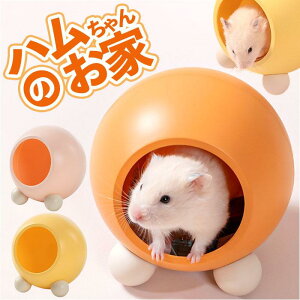 nX^[  ʔ nX^[nEX Q    B vX`bN ΍ 􂦂    V S[fnX^[ 