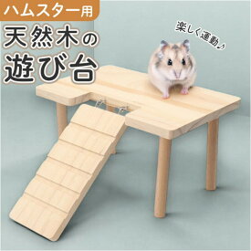 ハムスター ロフト 通販 二階建てはしご ハムスターロフト 小動物 遊び台 遊び場 休憩場 踏み台 ステージ ハウス 住宅 部屋 木製 無垢材 小型動物 通路