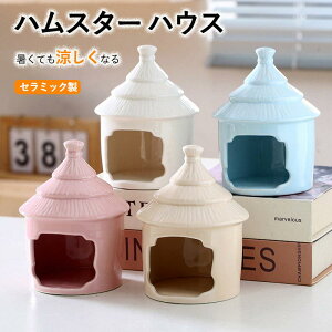 nX^[ nX^[xbh  Z~bN  |P{[  đ΍ Ђ xbh  nX^[P[W B Vя xbh Q