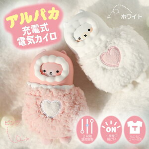 ApJ̓dCJC zCg sN 킢 nhEH[}[ gѕ֗ ^ [dJC e 6000mAh ȃGl ߓd GR H~