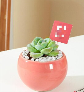 Ƌ̏蕨 A  Aؔ | A 񂹐A 킢 v`IAVX