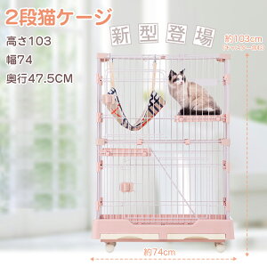 L P[W 1i2i\ LbgP[W ybgP[W LX^[t LQ[W ^  lRhA LbgnEX  ی Eh~ 