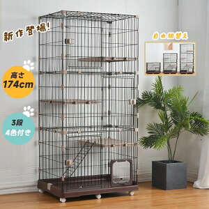 L P[W 3i ^ Rgւ LbgP[W 174cm LhAt Eh~  It LX^[t  LbgnEX i