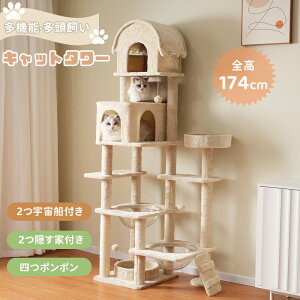 Lbg^[ u  174cm 2FDt Kit B ؐ R ^s  ybgpi Lxbh 芴Q ܂Ƃ|[ lRnEX gȒP ^L qL 