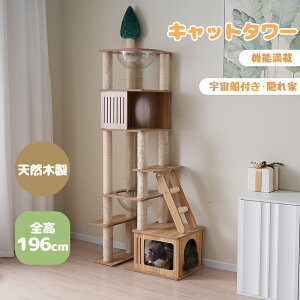 �L���b�g�^���[ �����u���^ �ؐ� �������� 2�F���D�t�� �B��� �L�^���[ �|���|����������t�� �l�R�^���[ �܂Ƃ��|�[�� �l�R �^���[ ������� �g���ȒP �o��₷�� �^���[ �V�R�ؐ� ��