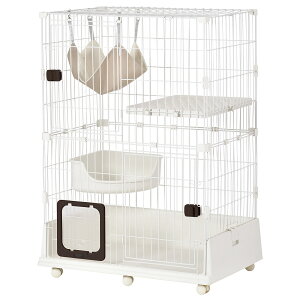 y2~4cƓzL P[W LbgP[W 2i ybgP[W LX^[t LQ[W ^  lRhA LbgnEX 1i2i\  ی Eh~ 