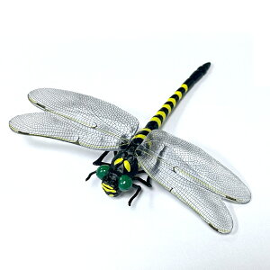 ySSP5{UPzIj}   12cm 3 Xq 悯 St u[` tBMA 悯 Ij} XYo` N Au悯  I悯 Xgbv