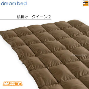 yNC[2zyK̔Xzh[xbh Hѕzc |zc dqӂƂ FT-1002 | NC[2 DB1511