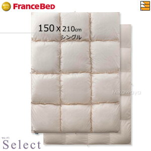 �y�V���O�� �I�[���V�[�Y���^�C�v�z�H�ѕz�c �t�����X�x�b�h �|���z�c �H�тӂƂ� Select LT JO-06 AS�i�I�[���V�[�Y���^�C�v�j �V���O�� �t�����X�x�b�h ���� �S�[���h�p�[�g�i�[�V���b�v FC1146