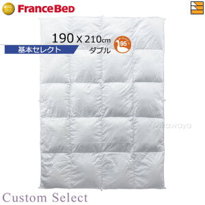 y_u |zy󒍐YzytXxbh璼zHѕzc tXxbh |zc JX^ZNgHтӂƂ {ZNg CS-03 | |[hO[X95 _u tX