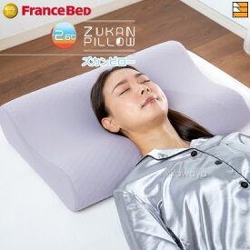 【フランスベッドから直送】【正規販売店】フランスベッド 枕 頭の熱を放出し続け質の良い睡眠をサポートする枕 ZUKANピロー ズカンピロー FC1620