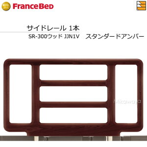 【正規販売店】フランスベッド 電動ベッド 用品 手すり 超低床フロアーベッド/マルチポジションベッド/グランサス/グランマックス/プレサス/プレオックス/プレオックスネオ/レステックス/