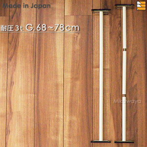 yʌN[|szy{zς_ Ƌ]|h~ ЊQ΍ nk΍ ˂_ t͈͍68cm`78cm X`[ #70 s2{Zbgt ψ3t AK0041