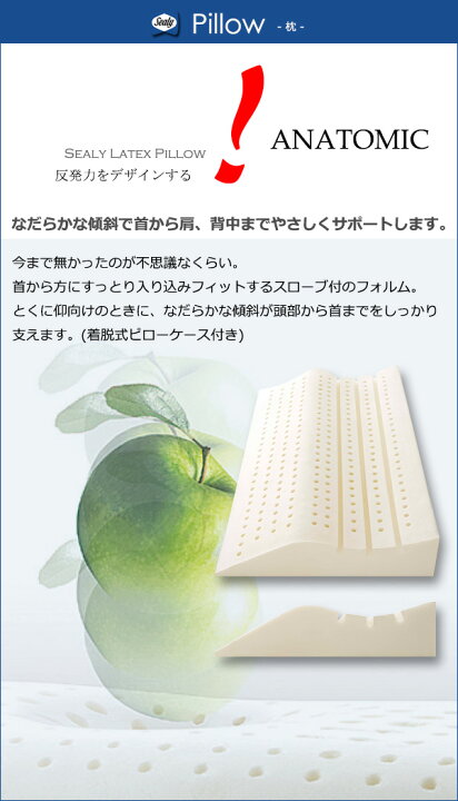 楽天市場】【正規販売店】シーリー 枕 ラテックスピロー アナトミック 