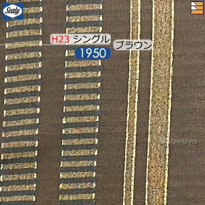 �y�V���O�� H23�z�y���n���{�����݂��o�����z�y���K�̔��X�z�V�[���[ �{�g���X�J�[�g �P���X 23(�r�p) �V���O�� L195cm Sealy�i�V�[���[�j SL0558