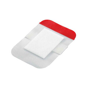 e Z`[fBJ CRhTvX pbht tBhbVO 8cm×10cm 150 JW-LMP0810 TERUMO