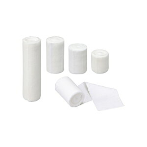 APA GXRbg ALCARE 100% z I[Rbg e͕