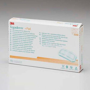 X[G Wp 3M eK_[ gXyAg hbVO pbht 9×15cm/4.5×10cm EChE 3589