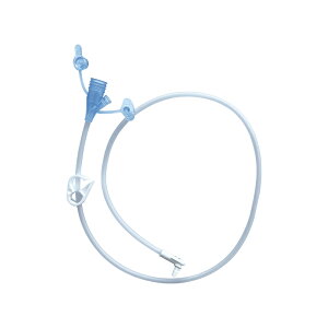 yKizAomXfBJWp MICpڑ`[u 60cm 5{ (0121-24J) ݂낤 ᑃ`[u oh{