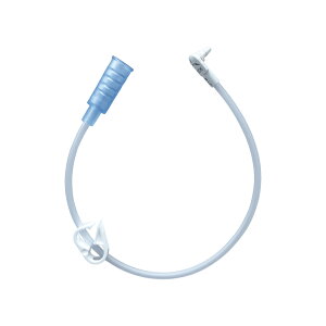 yKizAomXfBJWp MICpڑ`[u 30cm 5{ (0124-12) ݂낤 ᑃ`[u oh{