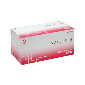 \ \tLAK[[ 30×30 4 20017347 sDzK[[ 30cm×30cm z ې pbP[W ϔi @ 