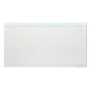 �A���P�A �G�X�A�C�G�C�h 11�� (300mm×550mm) 1��5���� 18755 ALCARE �n���p�V���R�[���Q���h���b�V���O �����h���ጸ �ȒP�ɃJ�b�g �V���R�[���Q�����b�V�� �h���b�V���O��