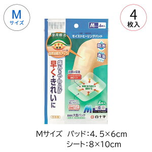\ FC CXgq[Opbh M 4 46470 V[gTCYF6cm×10cm pbhTCYF3.5cm×5cm nChRChf ^Jnp Ö@ ΂񂻂