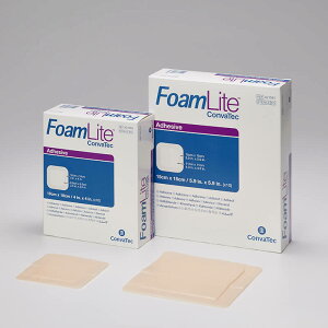 RoebNWp ӂ[ނ炢 10 tH[Cg FoamLite